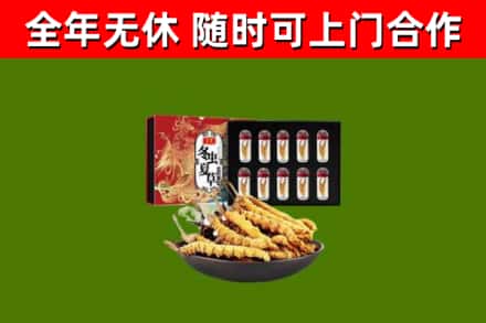 定南县回收冬虫夏草价格